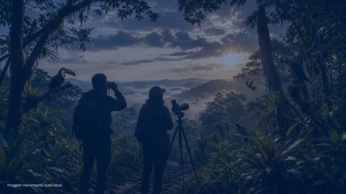 Observadores de aves em silhueta com binoculos e luneta em trilha de mata atlantica ao amanhecer, imagem meramente ilustrativa