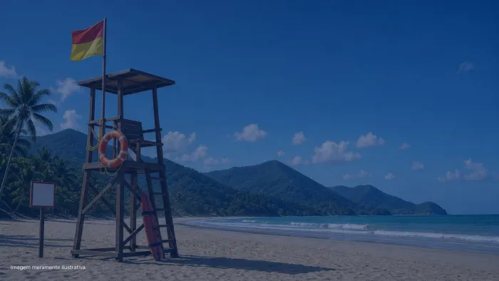Cadeira alta de guarda-vidas na areia com boia salva-vidas e bandeira de sinalizacao, imagem meramente ilustrativa
